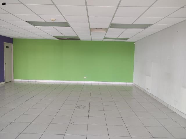 144 M2 LOCAL COMERCIAL U OFICINAS PLAZA GIRASOL LosEconomicos